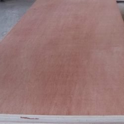 Eucalyptus Plywood