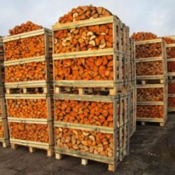 Quality Alder Firewood