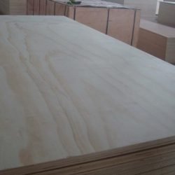 Oak Plywood