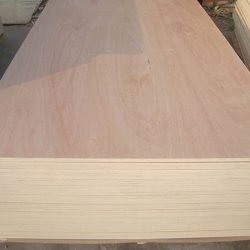 Beech Plywood