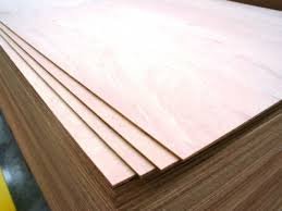 Spruce Plywood