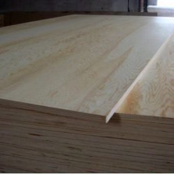 Pine Plywood